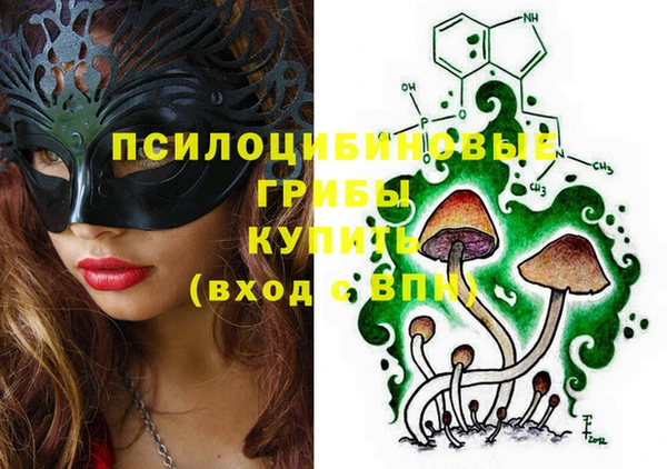тгк Дмитров