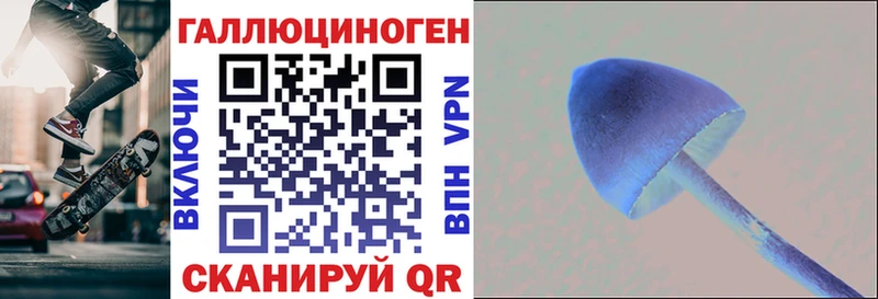 Псилоцибиновые грибы GOLDEN TEACHER  Купить  Новая Ладога 